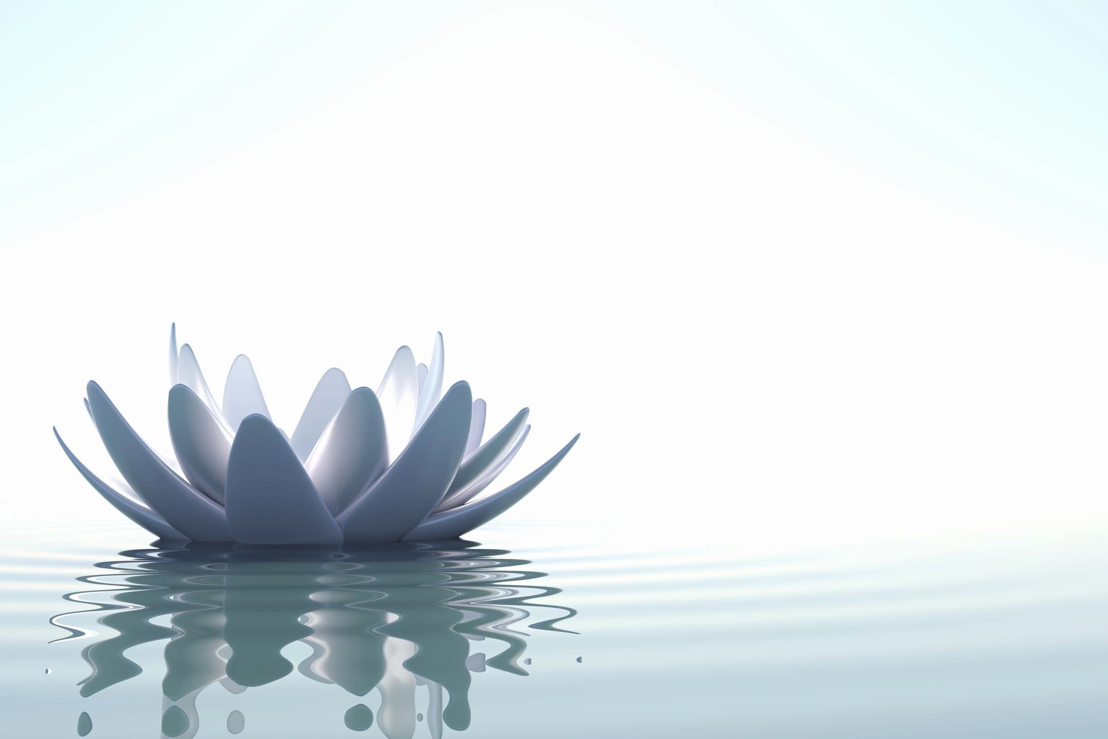 Mente Calma wellness and mental health support